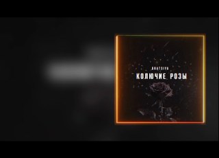 GRATSIYA Колючие розы Официальная премьера трека