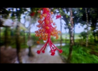  Oka Hagadw Duku Mwnbai Ang Video Hor Dansrang