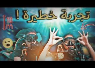  حط منا رقم القياسي العالمي في الغوص شفنا أغرب الحيوانات المائية