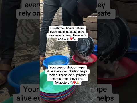 Every Life Matters Your Support Gives Me Strength To Keep Going PayPal In My Bio Fyp