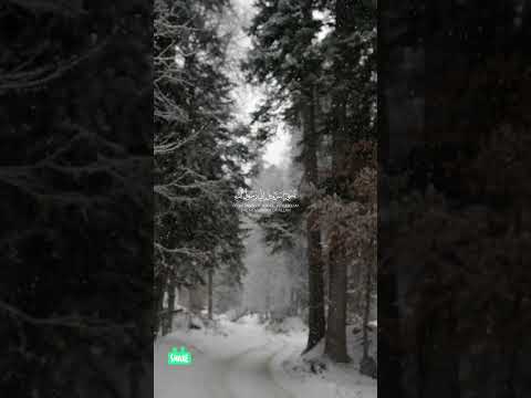 فلما زاغو أزاغ الله قلوبهم Quran قرآن الرحمن القزابري