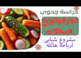 مشروع الارباح طوال السنه دراسة جدوى تجارة وتوزيع المخللات تجارة وتوزيع الطرشى