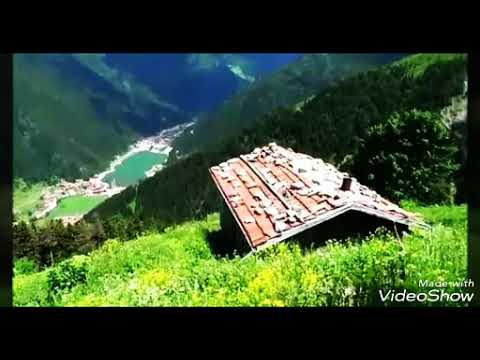 Şelale Salih Yılmaz