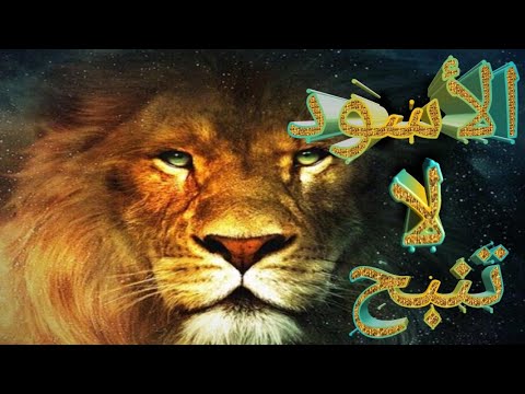 Gtc لا تأسفن على غدر الزمان لطالما رقصت على جثث الأسود كلاب