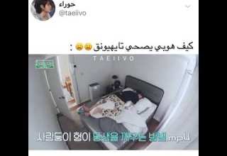 كيف هوبي يصحي تايهيونغ كييوت AKV SVK NVA97