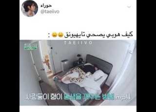 كيف هوبي يصحي تايهيونغ كييوت AKV SVK NVA97