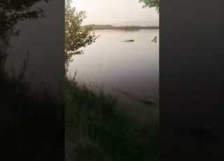 Darya Jhelum
