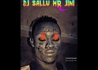 DJ SALLU MR JINI YATAPITA BEATI FT DIAMONDI PLATINAMZ