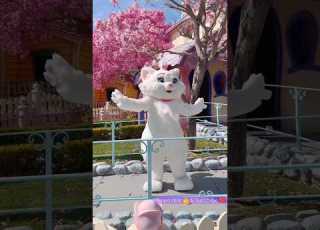  Fluffy And Adorable Marie Aristocats Shorts Cat