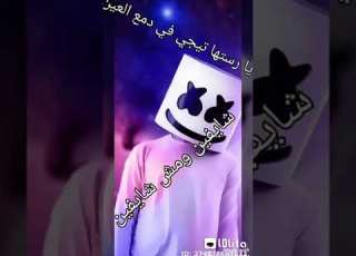 تجميعه صور على مهرجان خاينين يا خاينين