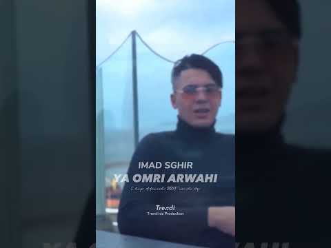 Imad Sghir 2023 Ya Omri Arwahi Rai 2023