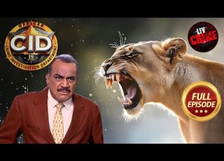 Jungle म क य ACP क ह ग Wild Animal स स मन CID स आई ड Latest Episode 8 March 2025