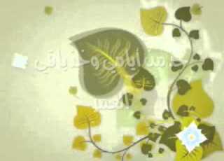  البرق اللامع شفت مبسمها
