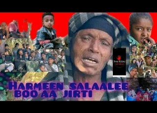 Dajanee Jaalataa Salaalee Qe Ee Tulamtichaa
