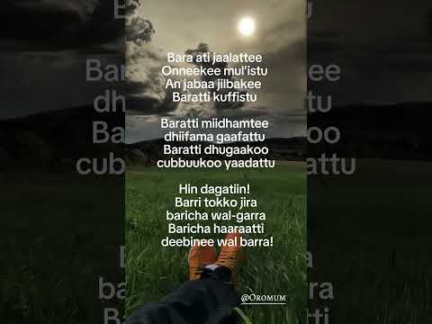 Walaloo Jaalalaa