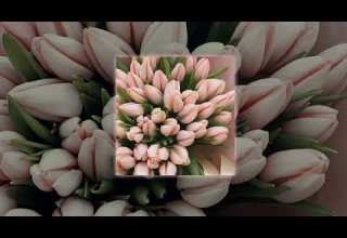 стас михайлов всë для тебя Speed Up