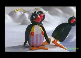  Even More Penguin Facts With Professor Pingu