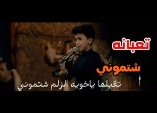 شتموني تقبلها ياخويه الزلم شتموني شور ملا ايوب الفريجي حالات واتس اب ستوريات انستا 2021