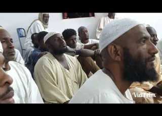 الشيخ ناصر جبرنا خطورة الجهل