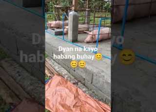  Simple And Low Budget Pig Pen
