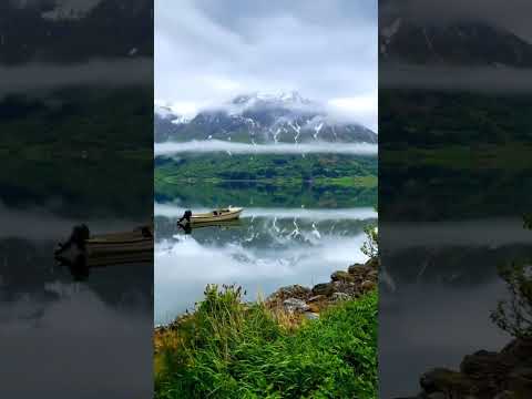 انا قلبى ليك ميال فايزه احمد