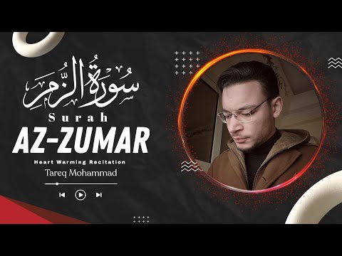 سورة الزمر كاملة تلاوة جديدة بديعة القارئ طارق محمد