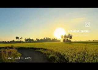  3 June 2026