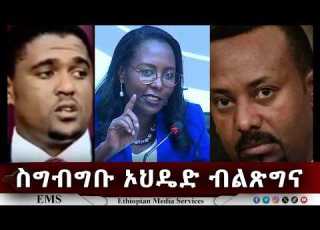  EMS ስግብግቡ ኦህዴድ ብልጽግና