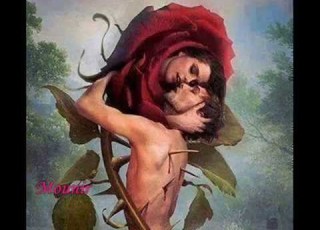سميه القيصر علشان الشوك اللى فى الورد