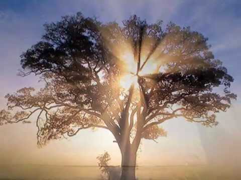 ترنيمة فوق الصليب في الجلجثة ايمن كفروني