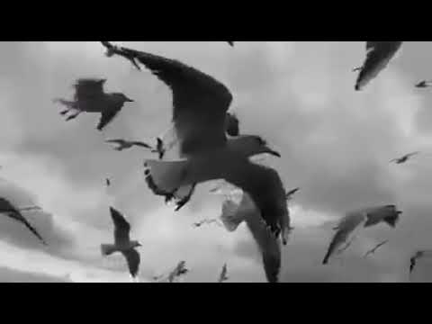 موسيقى لاترحلين