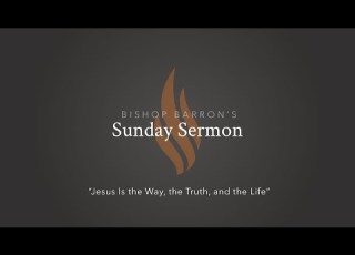  Jesus Is The Way The Truth And The Life Bishop Barron S Sunday Sermon