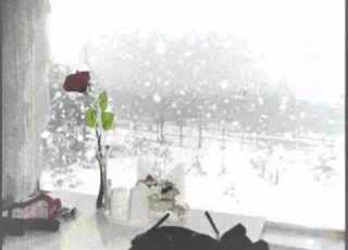 흰눈은내리고 박은옥 Wmv