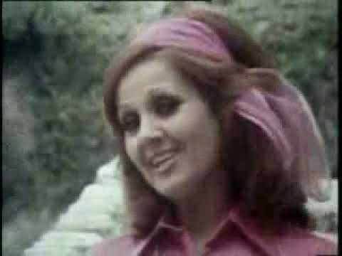 دلال الشمالي عالياني الياني الياني