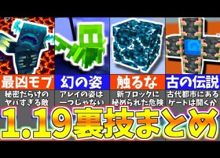  マイクラ1 19 上級者でも知らない最新のバグ裏技 小ネタまとめ まいくら マインクラフト 一気見