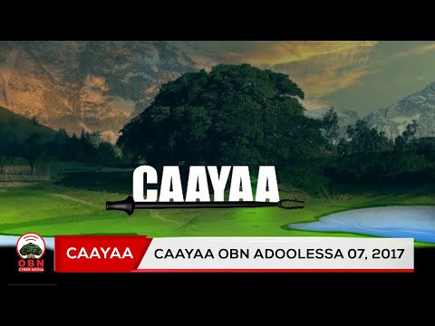 Caayaa OBN Adooleessa 07 2017