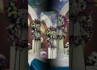 حلوة عيونه هواي مولد العباس