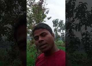24december 2024 Song Oldisgold Song Hindisong