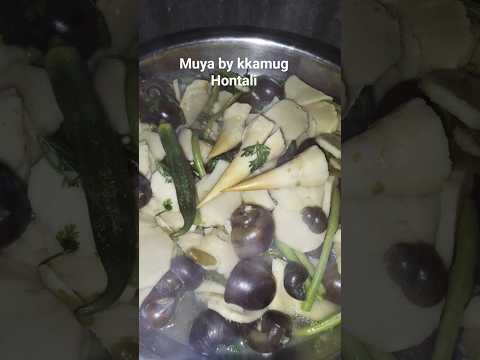 Muya By Kkamug Hontali Bamboo Snail Curryrecipe Viralvideo Jinalaxmi