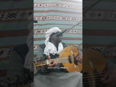 الاغنية التي يبحث عنها الجميع للفنان القدير مبارك فولاني