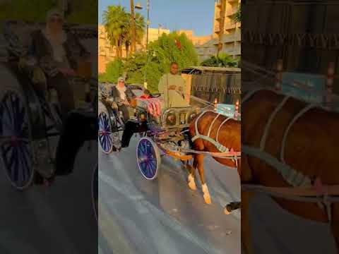 الاقصر بلدنا بلد سياح