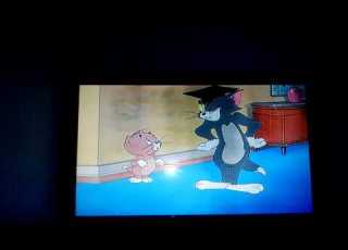  Tom And Jerry Fandubs Professor Tom
