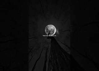 Let Me Down Slowly Alec Benjamin Lyrics Aesthetic Whatsapp Status English Songs Slowed