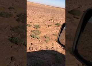 المرقاب