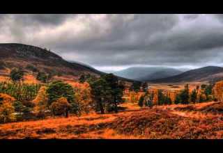 هل أتى على الإنسان حين من الدهر تلاوة خاشعة ورائعة للشيخ سلمان العتيبي