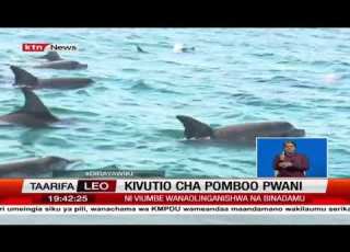  Kivutio Cha Pomboo Pwani