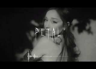  Ariana Grande Petal Sped Up