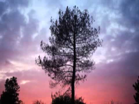 سورة الاعراف تلاوة الشيخ ياسر الدوسري Quran Kareem Yaseer Aldosry