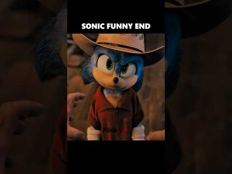 Don T Mess With Sonic Sonic The Hedgehog Sonic Shorts Sonic