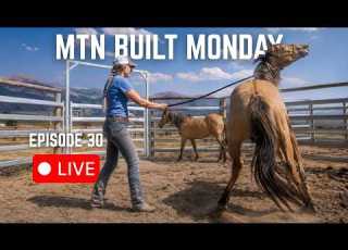  TOP 3 Tips For Adopting Training Mustangs Trailer Talk LIVE